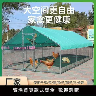 養殖雞棚雞籠室外兔籠鴿子籠家禽防雨籠子搭建簡易雞舍養雞棚全套
