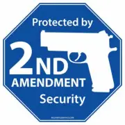 PROTECTED BY 2ND AMENDMENT WVPT-00074 4" OUTDOOR COLOR STICKER