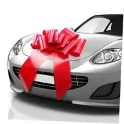 -USA Big Car Bow (Matte Red, 23 inch) Gift Bow, Giant Bow for Car, Birthday