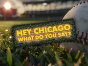 Go Cubs Go Sticker Decal Waterproof Vinyl Art