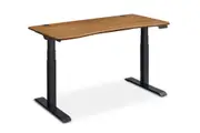 Emmerson Adjustable Standing Desk
