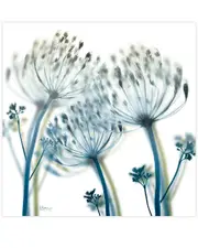 Empire Art Direct Unfocused Beauty 2 by Albert Koetsier Wall Art