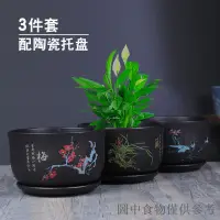 在飛比找蝦皮購物優惠-限時優惠花盆陶瓷大號復古盆景盆栽綠蘿蝴蝶蘭創意多肉黑紫砂釉大