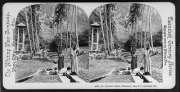 8" x 10" 1902 Photo an Old-time Estate, Dominica