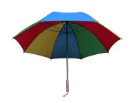 在飛比找Yahoo!奇摩拍賣優惠-【大雨傘 直傘】30英吋防風直骨手動傘(四色)500萬超大傘