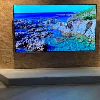 在飛比找Yahoo!奇摩拍賣優惠-LG Oled 樂金 55 型 LG OLED 4K 55吋