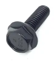 Proform 10.0 Tour De France CTC C22 Carbon CX Stationary Bike Crank Screw 246700