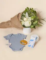 WORLD Bundle