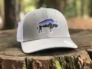 Patagonia - Fitz Roy Bison - Drifter Grey - Spring 2018