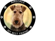 AIREDALE PET DOG ANIMAL Pendant 925 Sterling Silver 20" Necklace Men Women