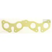 Platinum Extractor Gasket - HSM101