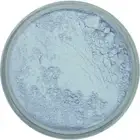 Blue Corrector Concealer Loose Mineral Mineral Makeup Full Coverage Sweetscents