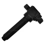 0 Coil/Ignitor 902770