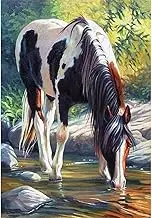 5D Diamond Painting Kits, Horse Stream Water Stone Tree Animals WOWDECOR Full Drill DIY Diamond Art Cross Stitch Paint by Numbers