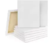 Artist Blank Stretched Canvas Canvases Art Large White Wood Range Oil Acrylic...