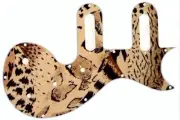 Pickguard Epiphone Les Paul SL Graphical Scratchplate Guitar Animal Pattern