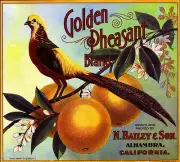 Alhambra Los Angeles Golden Pheasant Orange Citrus Fruit Crate Label Art Print