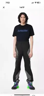 Louis Vuitton Men’s 2054 Tech Pants. XXL. $2150
