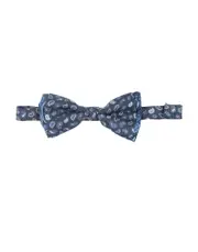 [ETRO] ETRO Ties & bow ties - Item 31073704