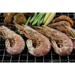【中秋烤肉組合】天使紅蝦 L1/ 1尾 /生食等級~來自南美洲阿根廷海域