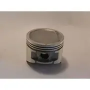 Austral Piston Set - PO1128 040