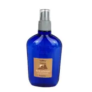 Vintage Bath & Body Works CANYON for Men Daily Refresher Spray