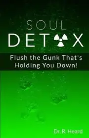 Soul Detox: Flush the Gunk That's Holding You Down! by R. Heard (English) Paperb