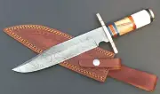 Handmade Hunting Knife, Damascus Blade, Bone-Brass-Olive Wood Handle WIL-HK-1107