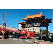 Save 5.01%! CitySightseeing Seattle Hop-On Hop-Off Bus Tour + Bookable Extras