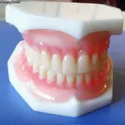 New Perfect Smile Veneers In Stock False Teeth Denture Whitening Tooth Powder SZ