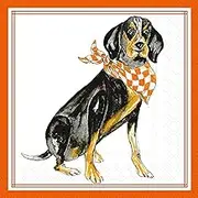 Orange Coonhound Hometown Pride Party Napkins – 40 Count | 2 Packs of 20CT 3-Ply Cocktail Napkins | 5" x 5" | Majestic Coonhound with Checkered Bandana