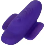 Introducing the Exquisite Calextics Lock-N-Play Remote Pulsating Panty Teaser Vi