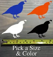 Quail Decal Sticker Hunting Bird Pheasant Grouse Wildlife Dog Feathers Ringneck