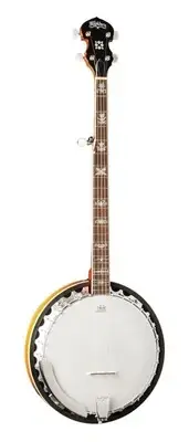 Washburn B10 Five String Banjo w/ Remo Head - Sunburst Gloss Finish - B10-A-U