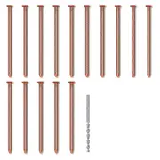 15Pcs Copper Nails for Killing Trees Stump Root, 3.14 Inch Long Pure Copper Nails with Drill, Stump Removal Spikes Photo Color