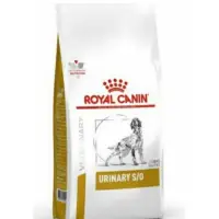 在飛比找蝦皮購物優惠-這不是貓！這不是貓！🌟旺財好鋪🌟ROYAL CANIN 皇家