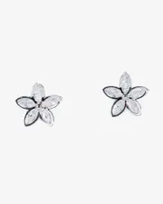 Silver Cubic Zirconia Flower Framed Stud Earrings