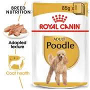 Royal Canin Poodle Adult Wet Dog Food 85g