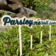 Custom Garden Labels Herb Markers Plant Stake Tags Personalised Garden Organiser