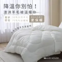 在飛比找momo購物網優惠-【AnD HOUSE 安庭家居】羊毛被-加大7*8尺(保暖/