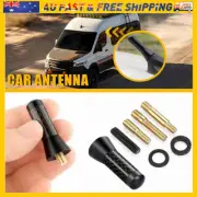 Mini Universal Car Roof Antenna Mast Aerial Whip Signal Stereo Amplified Radio (for: Mini)