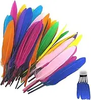 Craft Feathers - 50Pcs/Set Colorful Feathers | Colorful Feather for Crafts, Dream Catcher, Jewelry Decoration Feathers, d iy