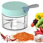 Premium Garlic Chopper Mincer Pull Vegetable Slicer Mini Meat Chopper