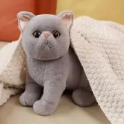 Cute Soft cat plush toy stuffed cat plush toys