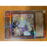 遊戲王 卡牌 灰流麗 25TH SE[RC04-JP009] 稀有收藏 四分之一世紀版 二手 14968345