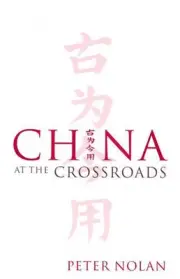 China at the Crossroads by Peter Nolan (English) Hardcover Book