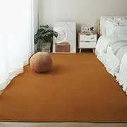 200x200 CM Large Carpet Home Decor Coral Velvet Solid Color Living Room Sofa Foot Mat Nursery Area Rug Kids Crawling Game Carpet,Khaki,80x160cm(31.4x63in)