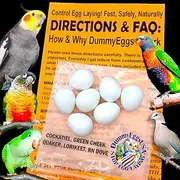 Dummy Cockatiel Eggs Stop Brooding Laying! 7 Plastic Solid Fake Dummy Bird Eggs: Dove, Quaker Parrot, Green Cheek DE Brand USA