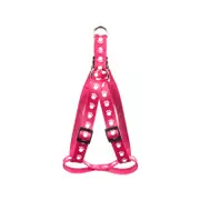 Happy Tails Medium Paw Print Dog Harness