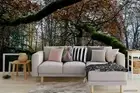 3D Forest Branch Wallpaper Wall Mural Removable Self-adhesive 128